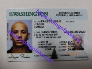 Dingo Fakes Official - Washington Driver's License