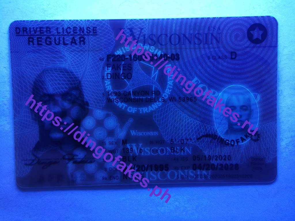 Dingo Fake Id Review - Fake Drivers License