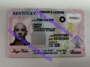 KENTUCKY(KY 2024)