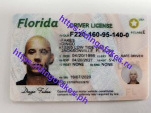 FLORIDA(FL O21 NEW)